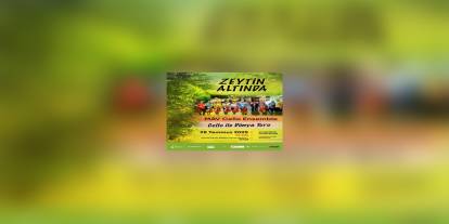 MAV Cello Ensemble: Zeytin Altında konser veriyor