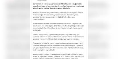 İletişim Başkanlığı: Orman yangınlarının yüzde 5'inden azı elektrik kaynaklı