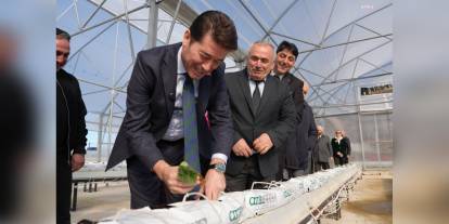 Ortahisar'da istiridye mantarı üretimi başladı: 1 tonluk aylık hedef