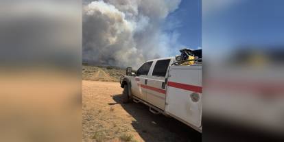 Arizona'da orman yangını 20 bin dönüme yayıldı