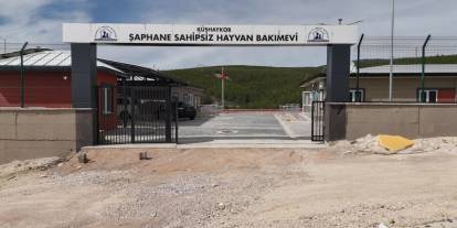 Kütahya'da sahipsiz hayvanlar için 4 doğal yaşam alanı hizmete giriyor