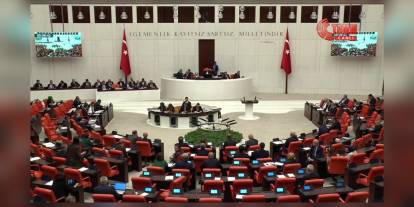 Varank'tan zeytinlik tartışmalarına yanıt: 'Zeytin düşmanı değiliz'