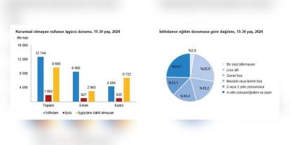 TÜİK: 2024'te 15-34 Yaş Grubunda İstihdam Oranı Yüzde 52,5