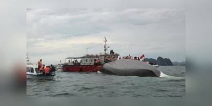 Vietnam'da fırtınada alabora olan tur teknesi: 37 ölü