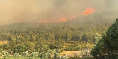 Sakarya'da orman yangını: Taşoluk Mahallesi tahliye edildi