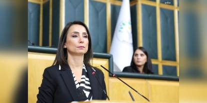 Hatimoğulları: Orman yangınları felakete dönüştü