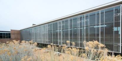 New Mexico Üniversitesi'nde silahlı saldırı: 1 ölü, 1 yaralı