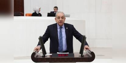 Nalbantoğlu'ndan TBMM'ye orman yangınları önergesi: 'Somut bulgu için ormanların yanması mı gerek'