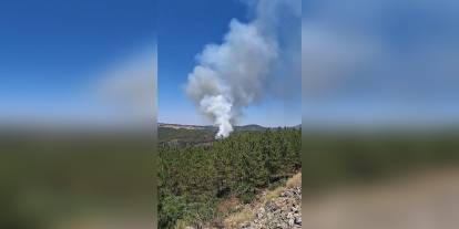Orhaneli'nde yangın yeniden alevlendi: Belediye Başkanı yardım istedi