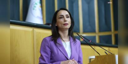 Hatimoğulları'ndan yangınlara ilişkin acil çağrı: 'Seferberlik hali ilan edilmeli'