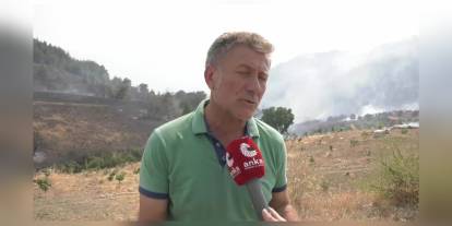 Sarıbal: Bursa yangınına havadan yetersiz müdahale