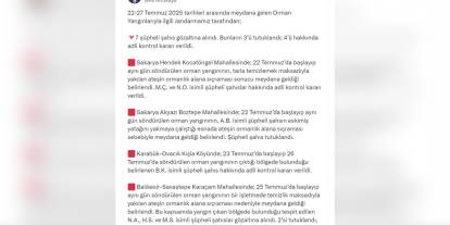 Yerlikaya: Orman yangınları soruşturması: 7 gözaltı, 3 tutuklama