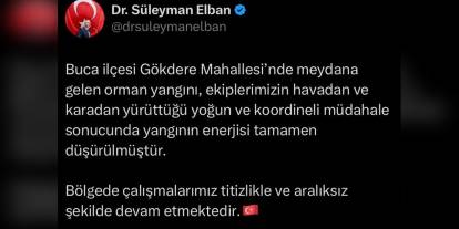 İzmir'de orman yangınının enerjisi düşürüldü