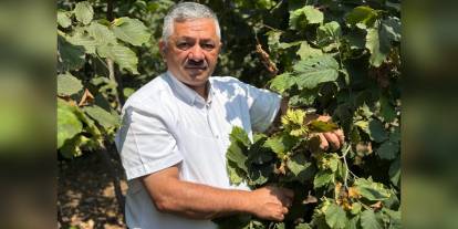 Ordu'da fındık rekoltesinde büyük düşüş: 64 bin tona kadar gerileme