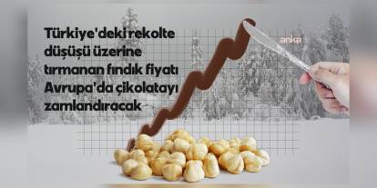 Fındık fiyatları Avrupa çikolata üreticilerini zorluyor