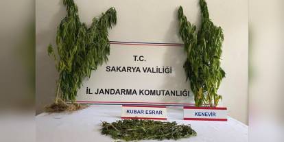 Sakarya'da uyuşturucu operasyonu: 1 tutuklama, çok sayıda uyuşturucu ele geçirildi