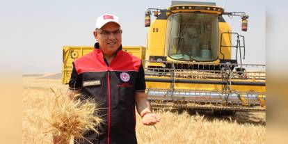 Ağrı'da rekolte beklentilerini Vali Koç açıkladı: 280 bin ton buğday, 160 bin ton arpa
