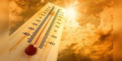 Portekiz'de sıcak hava dalgası: 264 ölü