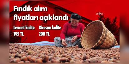 TMO, 2025/2026 Fındık Alım Fiyatlarını Açıkladı: Giresun Kalitesi 200 TL/Kg