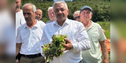 Soydan: Fındık fiyatlarının yükselmesi için kontrollü pazarlama yapacağız