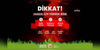 Orman Genel Müdürlüğü'nden yangın uyarısı: Yüksek risk altında
