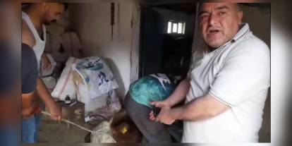 Göle'de şap hastalığı üreticileri vurdu: 'İlaç fayda etmiyor, ahır boşaldı'