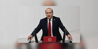 Namık Tan'dan Hakan Fidan'ın diplomasına yeni sorular