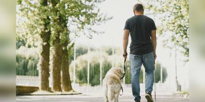 TİHEK'ten İBB'ye 150 bin TL ceza: Görme engelliye rehber köpeğiyle giriş yasağı