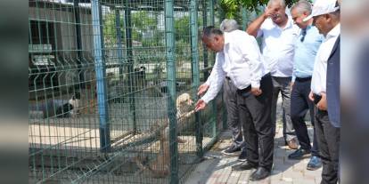 Adana Büyükşehir Belediyesi Hayvan Bakımevi'nde inceleme: Yeni yaşam alanları oluşturulacak