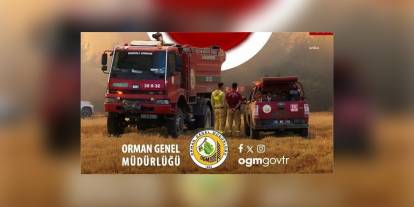 Orman Genel Müdürlüğü: 5 binden fazla orman yangınıyla mücadele edildi