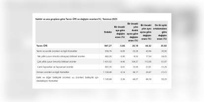 TÜİK açıkladı: Haziran'da tarım üretici fiyatları yüzde 5,66 düştü