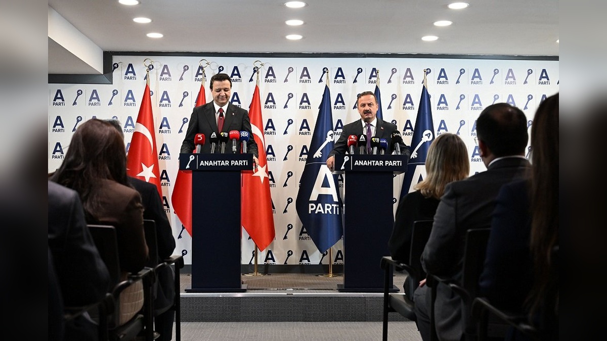 2446-2.jpg