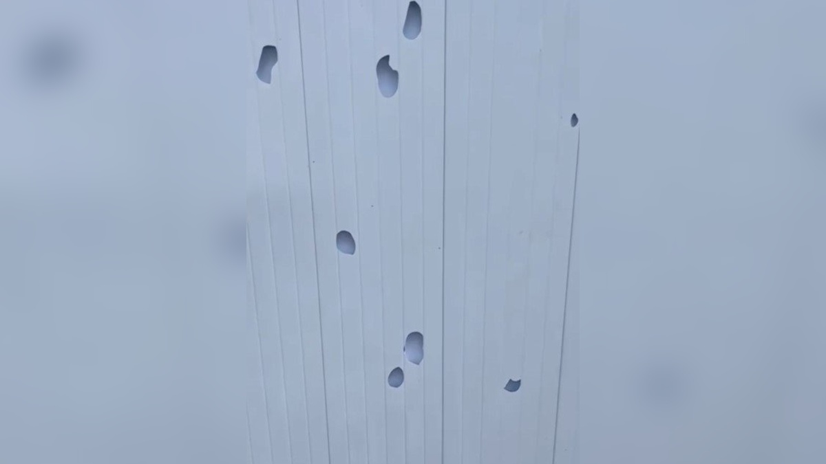 3632-2.jpg