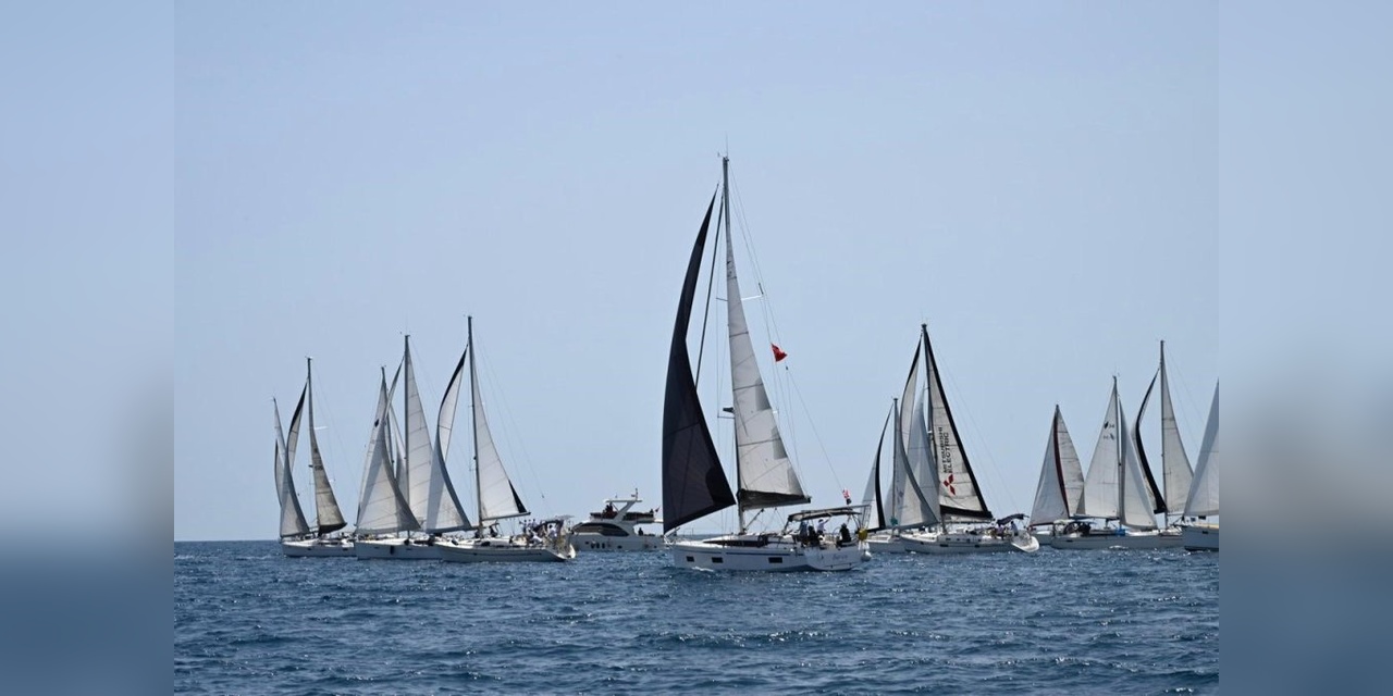 4273-2.jpg