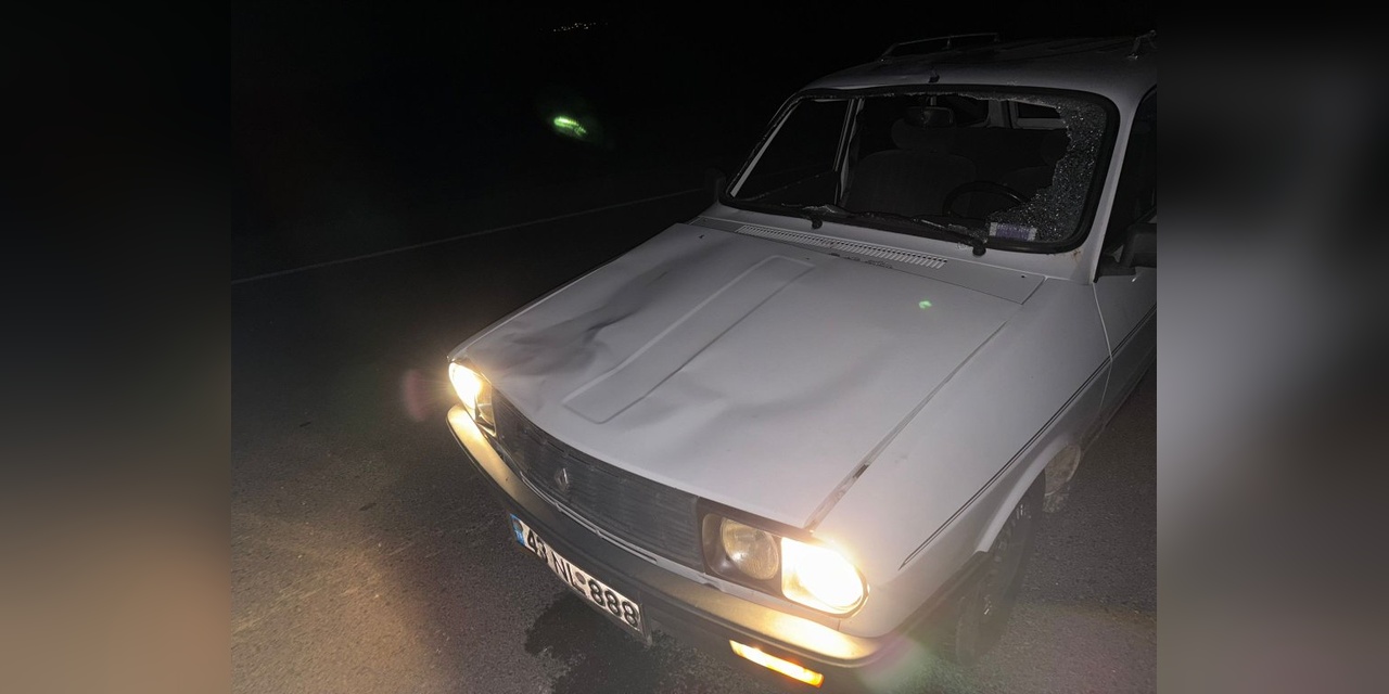5007-2.jpg