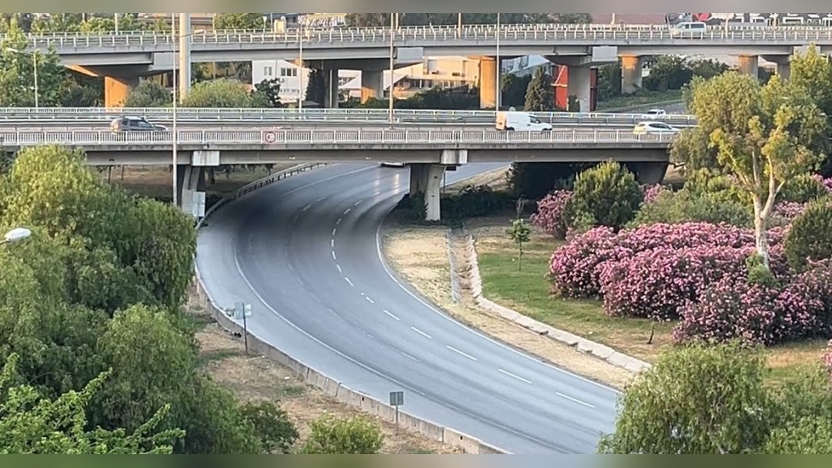 7496-2.jpg