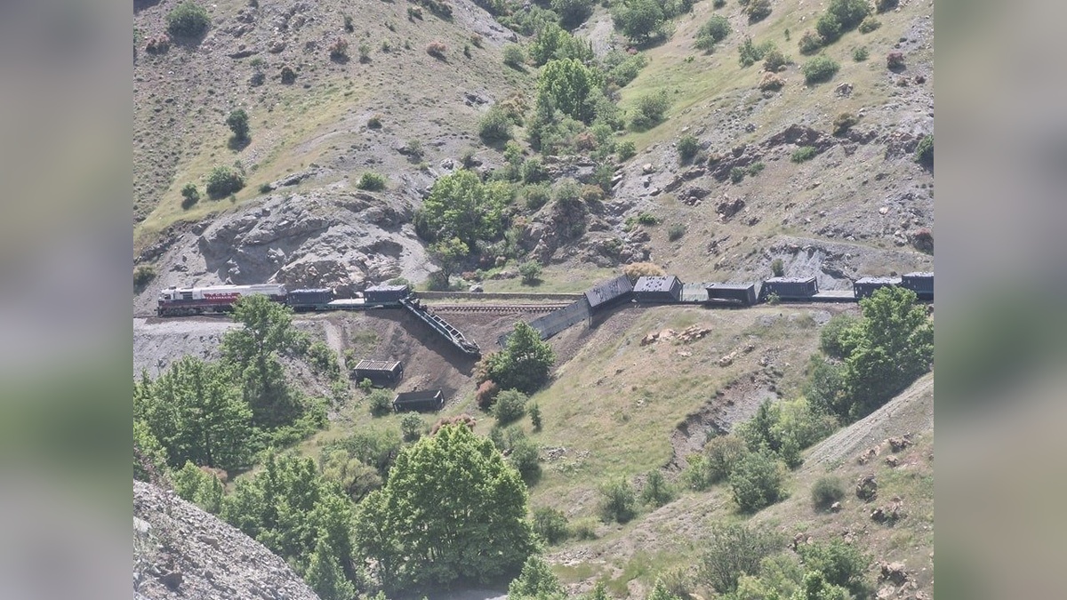 7865-2.jpg