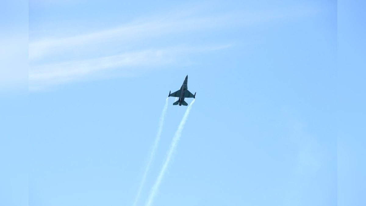 7949-2.jpg