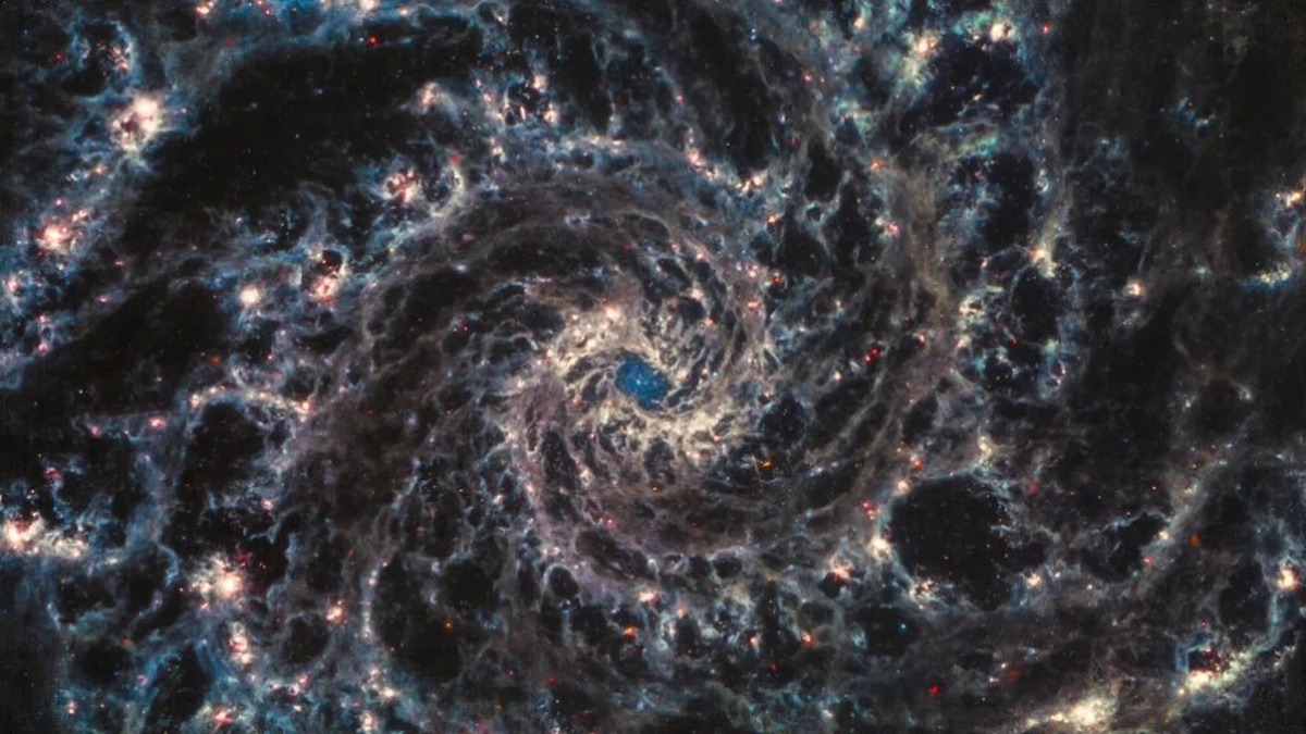 8295-2.jpg