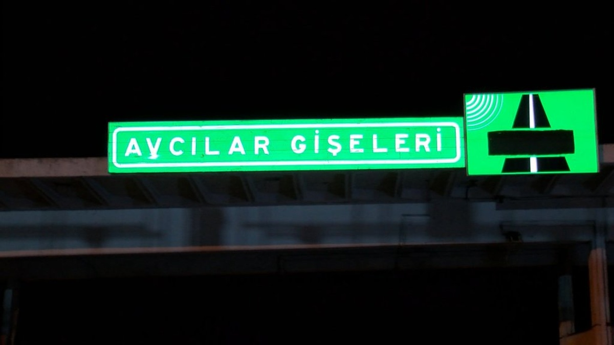 8626-2.jpg