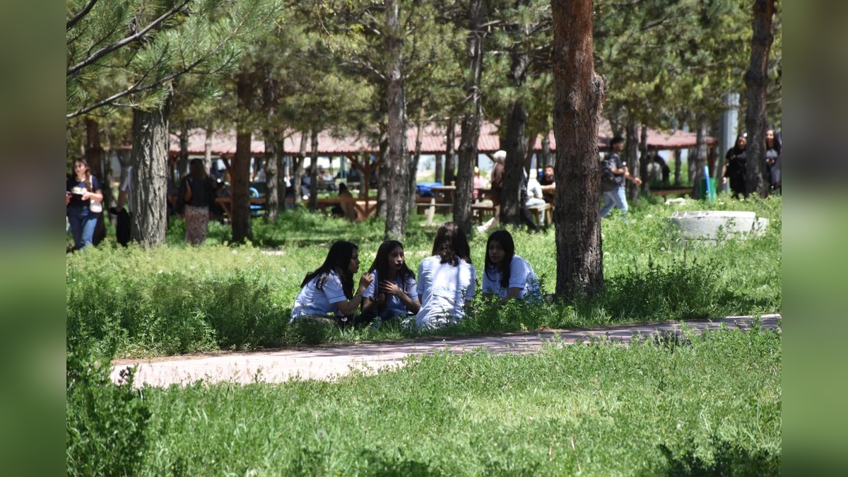 8671-2.jpg