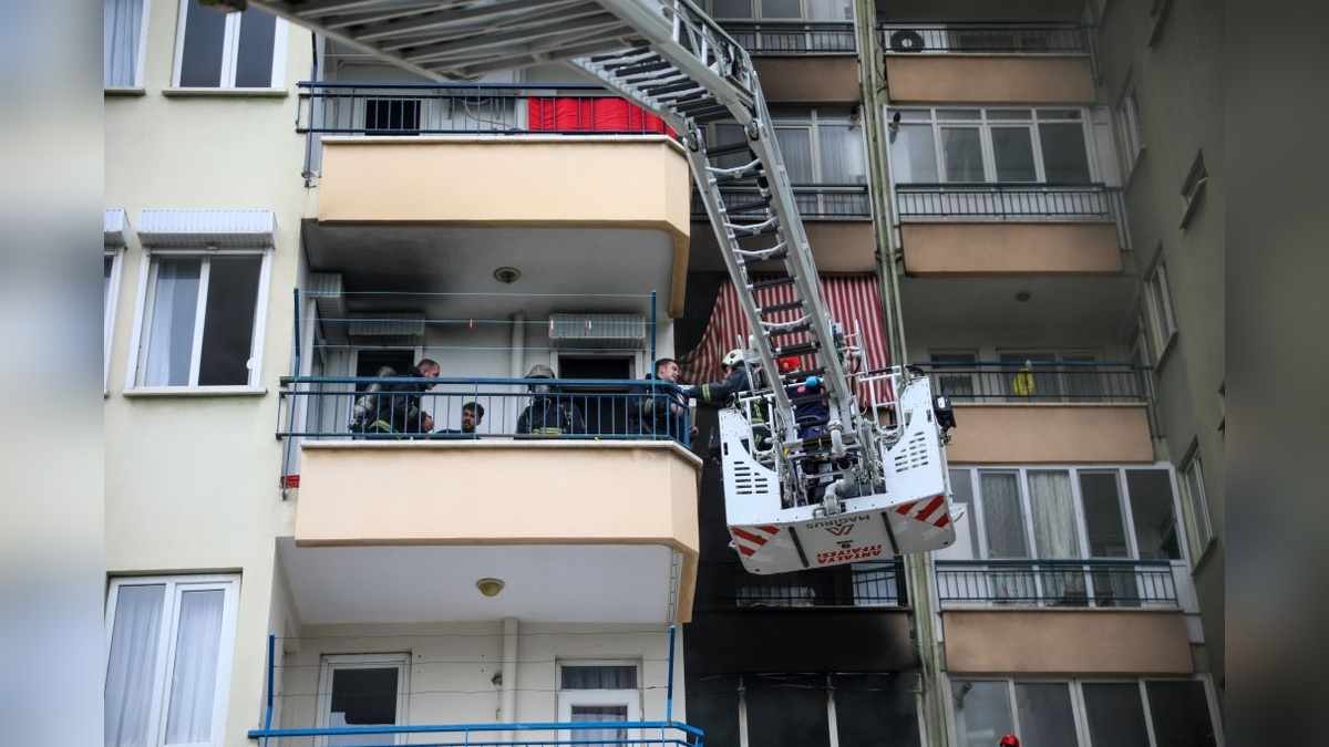 9642-2.jpg