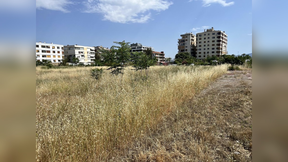 10695-2.jpg