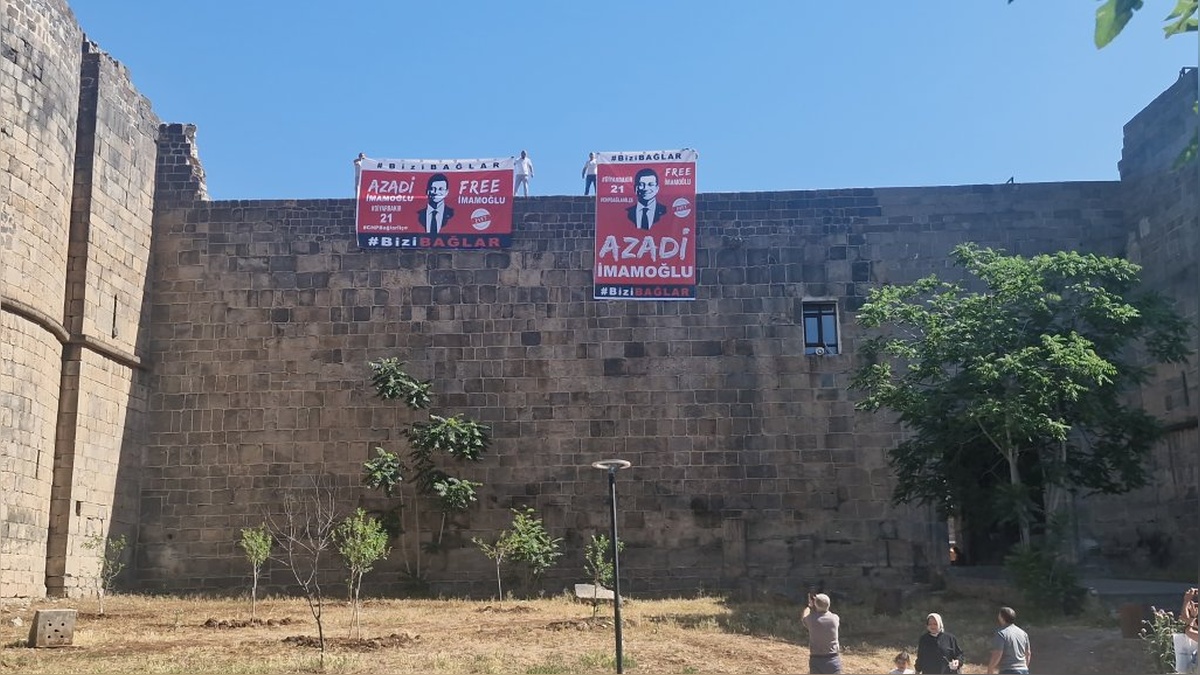 11347-2.jpg