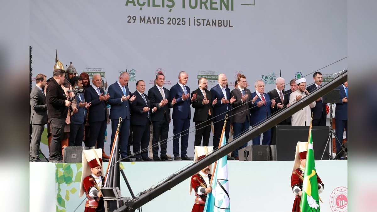 11701-2.jpg