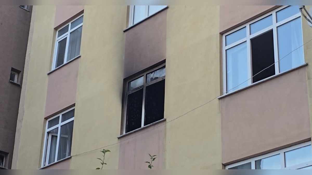 11722-2.jpg
