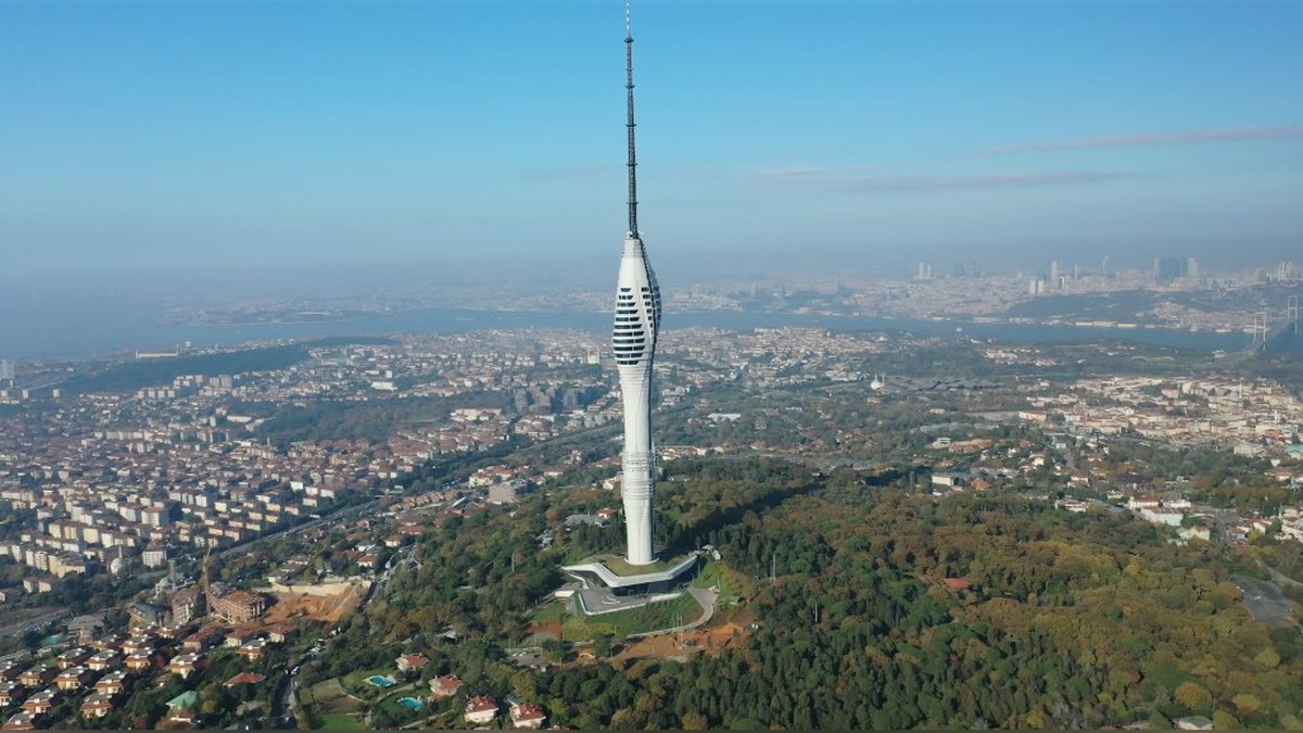 12008-2.jpg