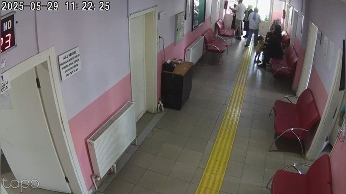 12331-2.jpg