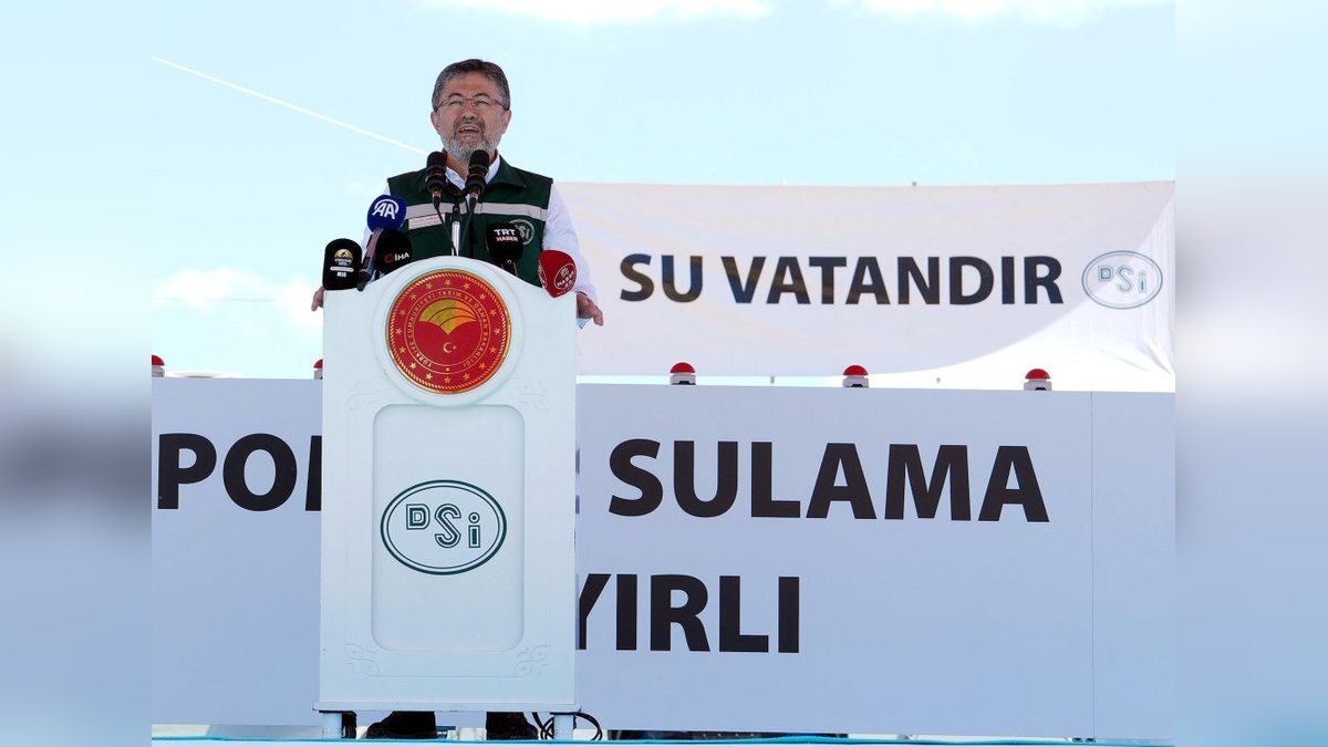 12815-2.jpg