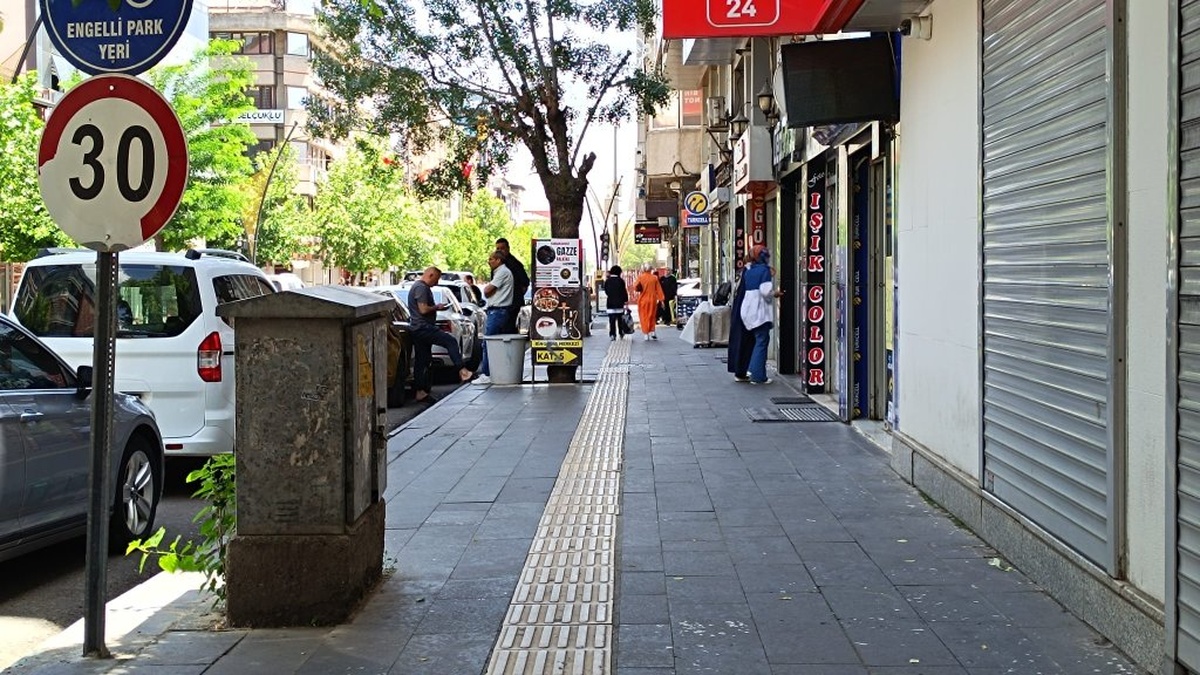 13081-2.jpg